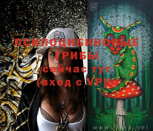 марихуана Абаза