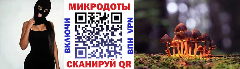 Псилоцибиновые грибы MAGIC MUSHROOMS  Сальск 