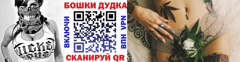 купить наркотики сайты  Сальск  Шишки марихуана план 